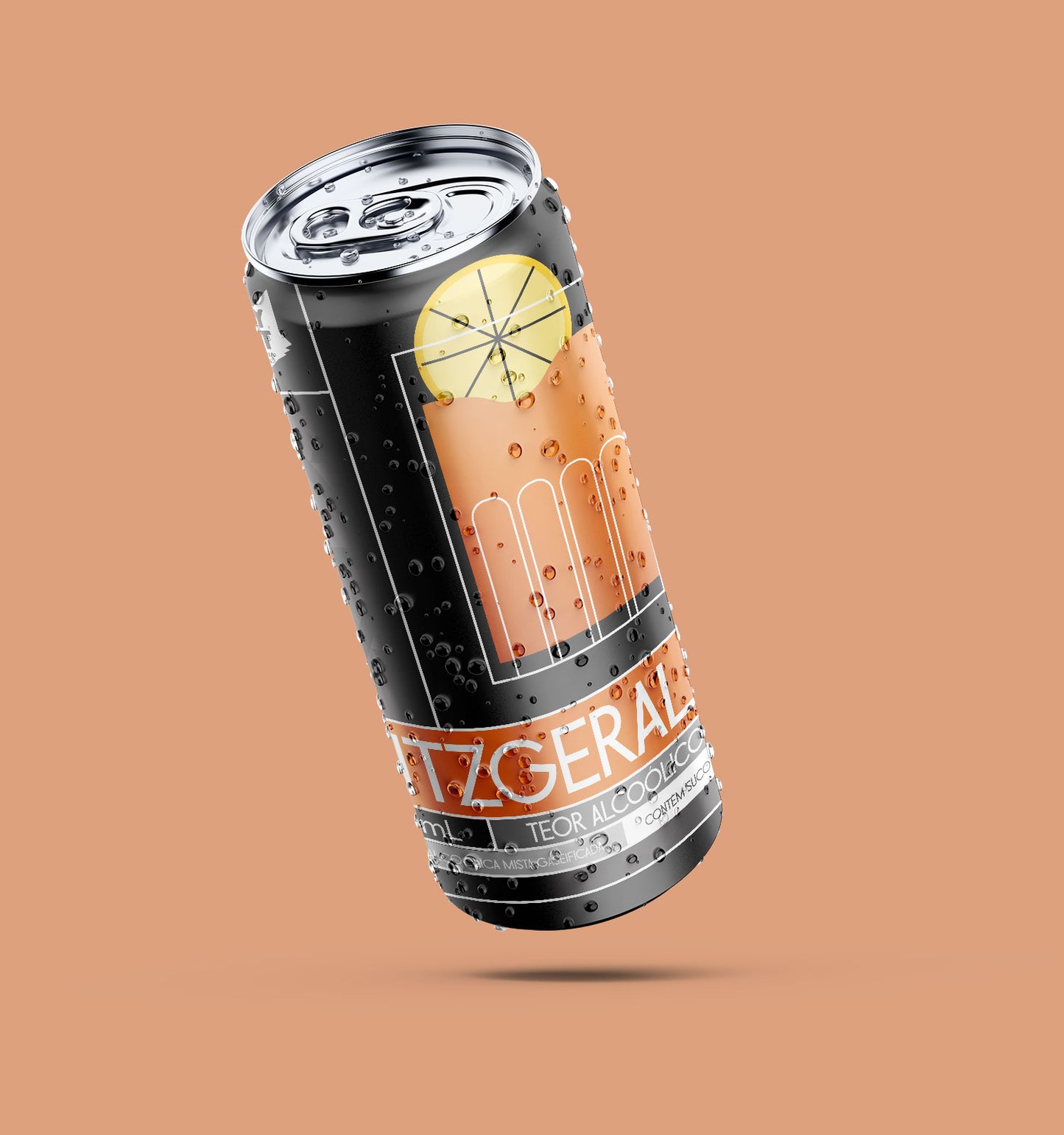 DRYCAT - FITZGERALD (6 LATAS 269ml)