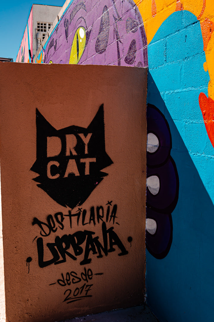 DryCat